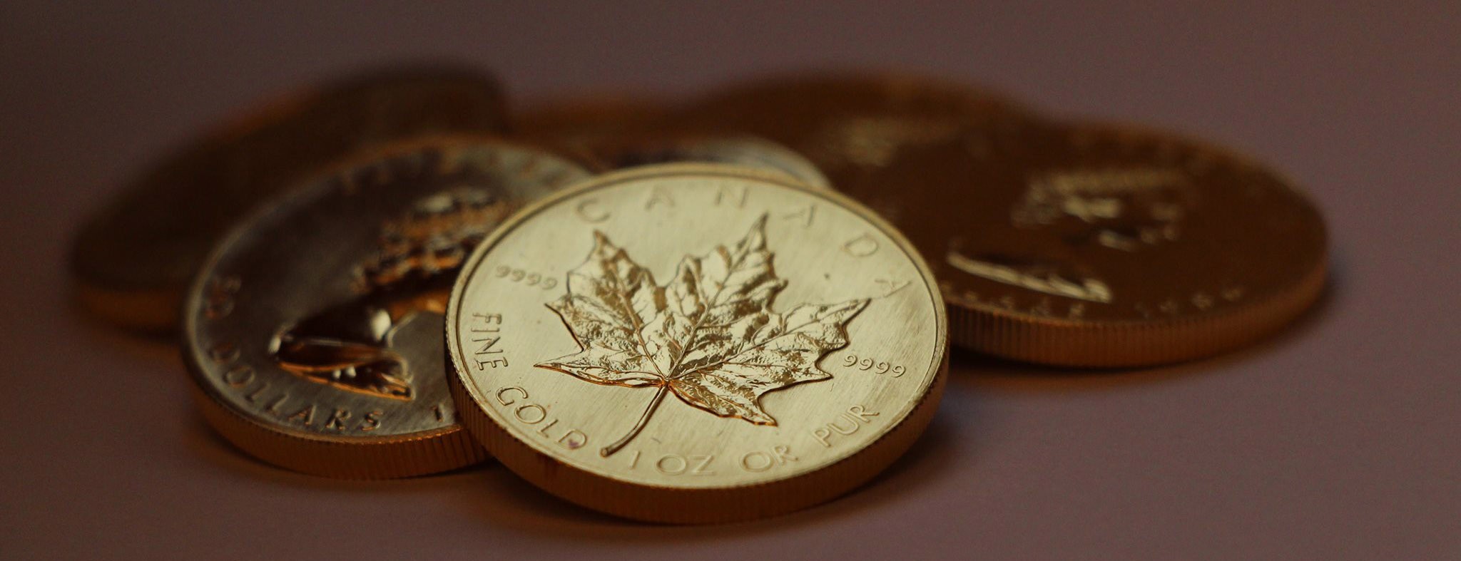 gold coins maple leaf